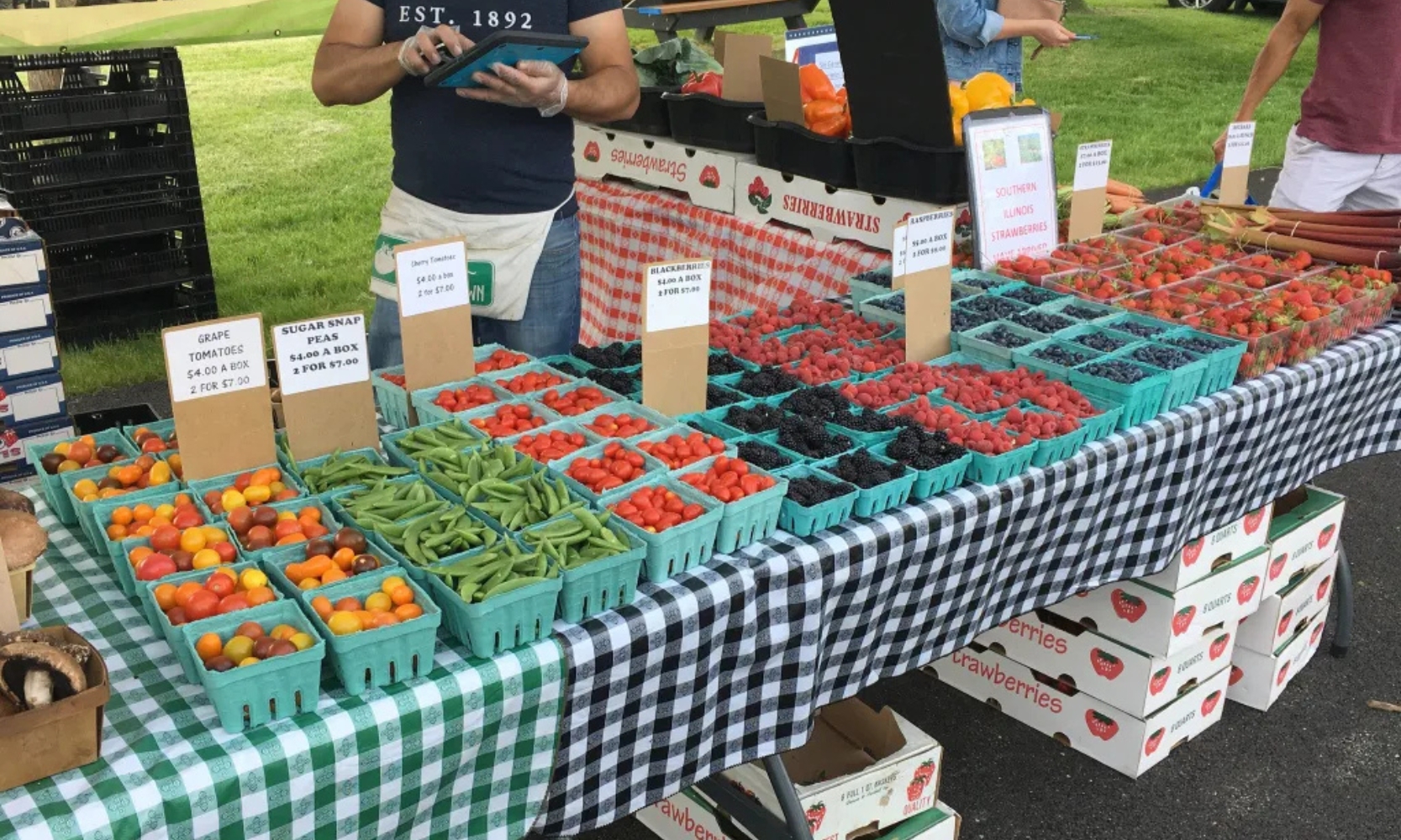 Closeup image of a fresh produce vendor at the Arlington Heights Farmers' Market in Illinois