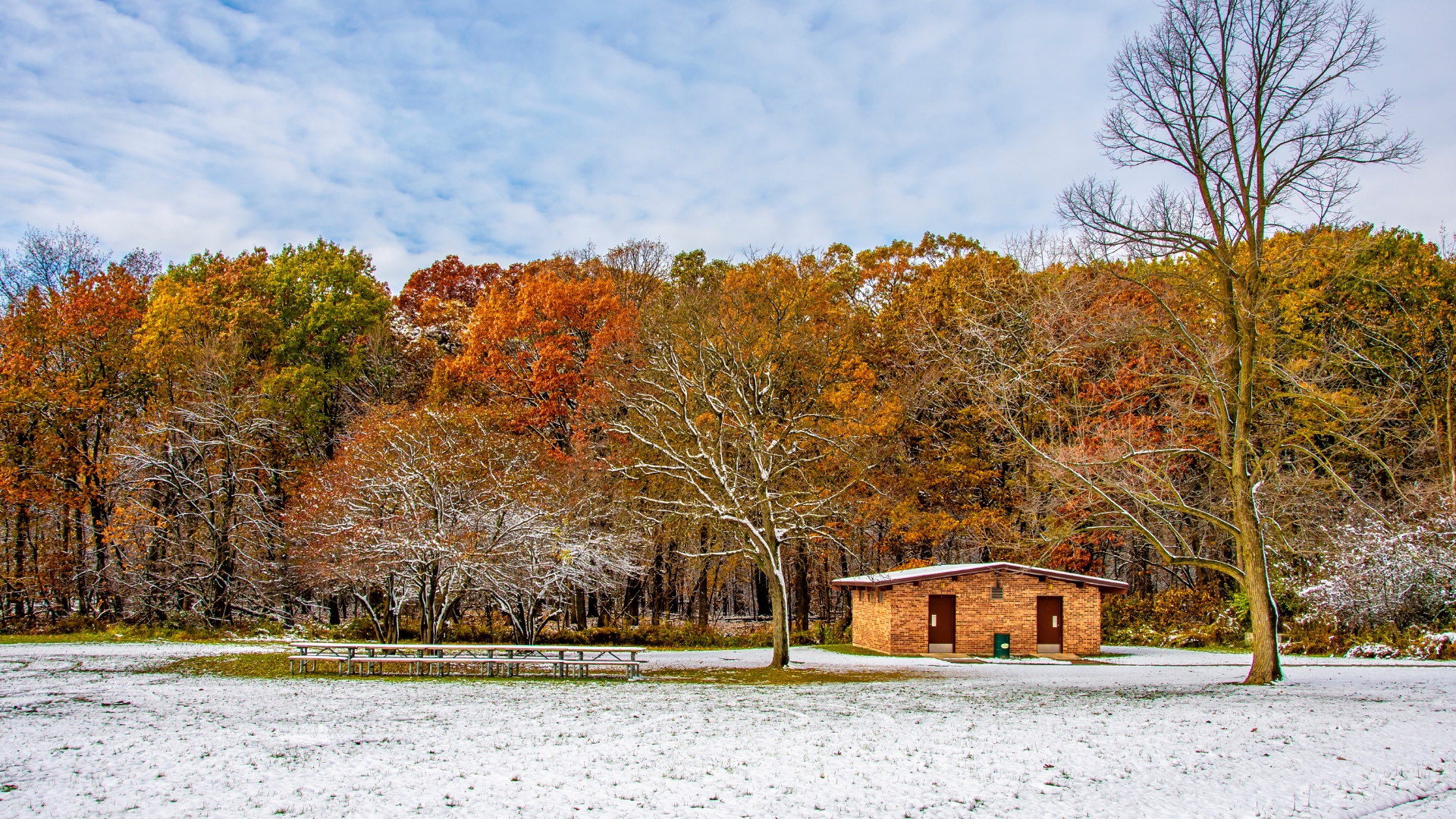Wideshot image of the Ned Brown Preserve during winter in Arlington Heights, IL