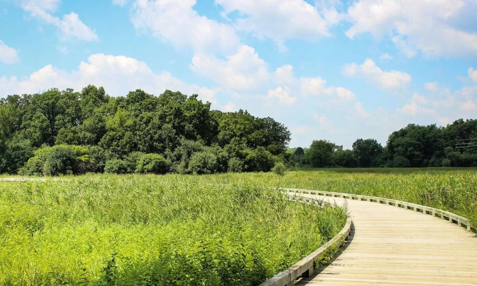 Image of a hiking trail at the Half Day Forest Preserve in Vernon Hills, IL