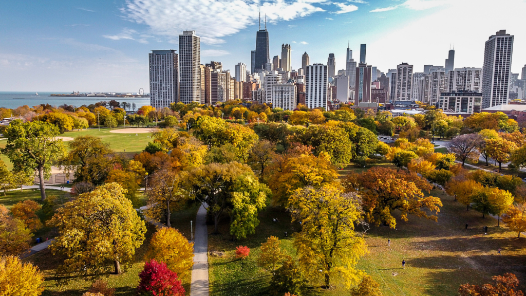 Wideshot image of the Chicago skyline from Lincoln park during the fall season with trees in front