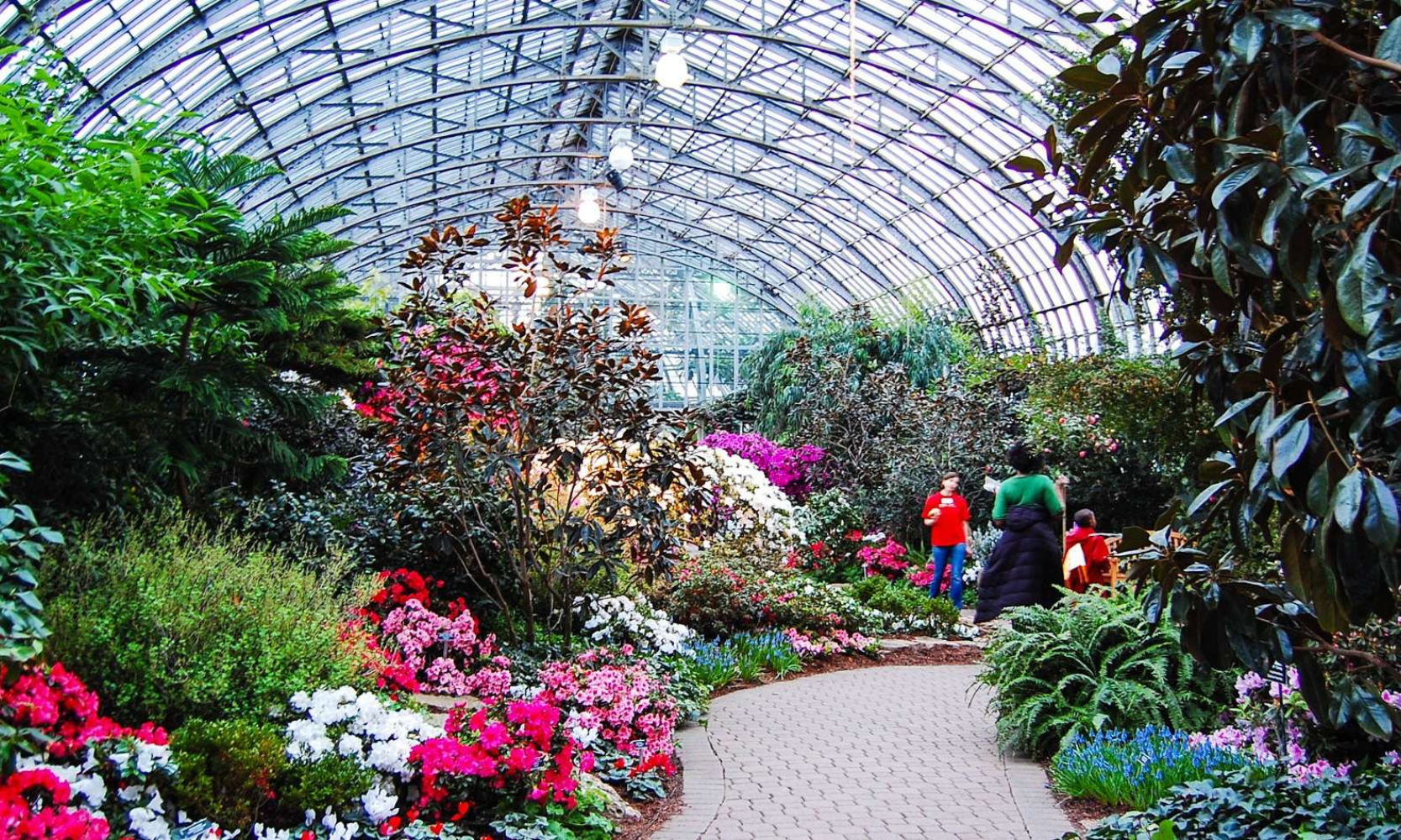 Image of exotic plants and flowers at the Garfield Park Conservatory in Chicago