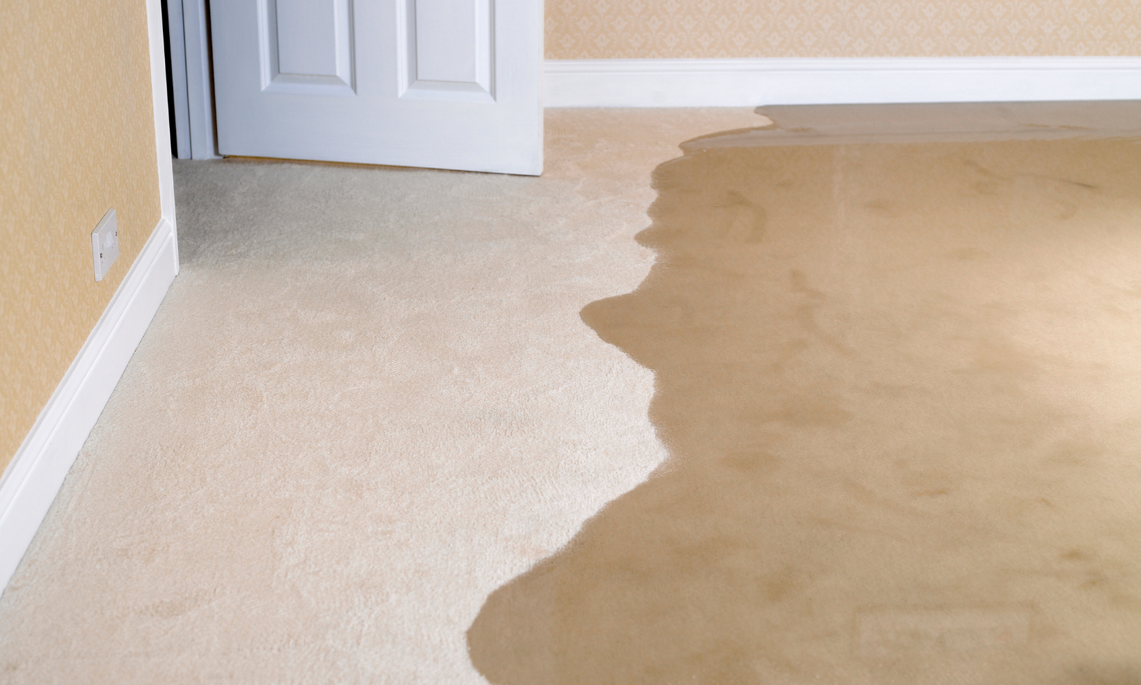Image of water damage on a bedroom carpet floor